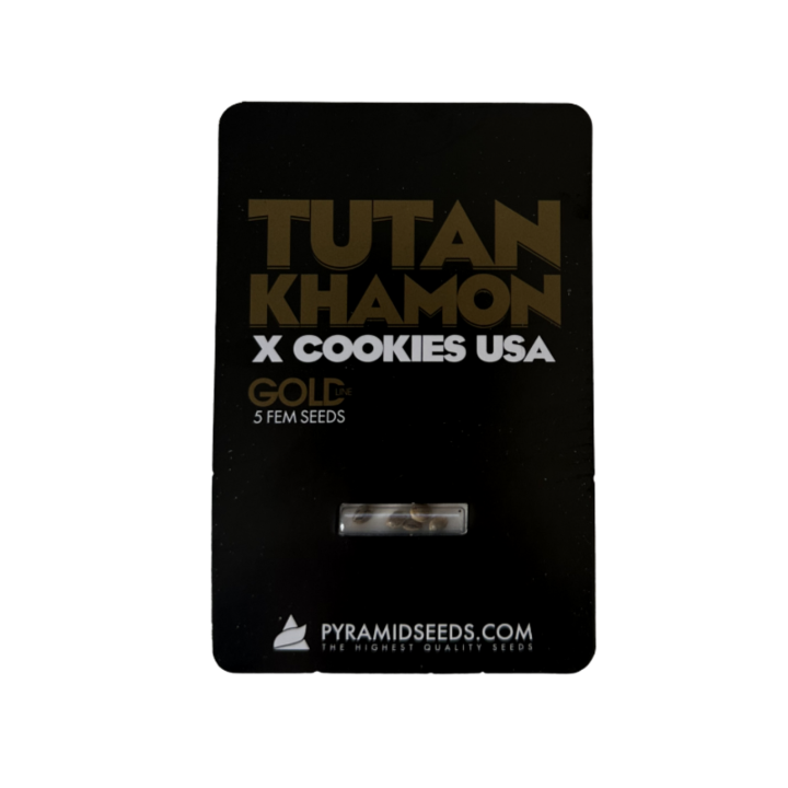 Tutankhamon × Cookies USA Pyramid Seeds – híbrido Gold Line com buds densos, resinosos e aroma doce-terroso Cookies