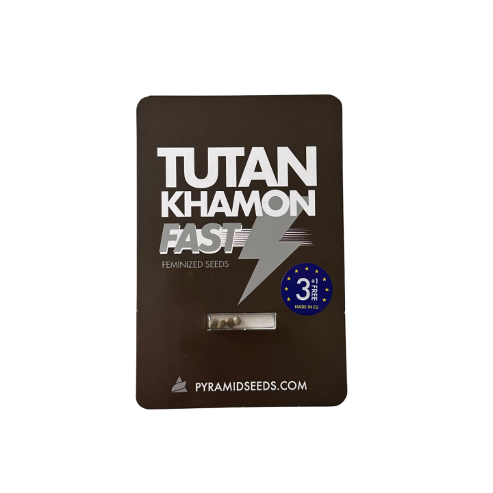 Tutankhamon Fast Pyramid Seeds – embalagem oficial da versão Fast da Tutankhamon