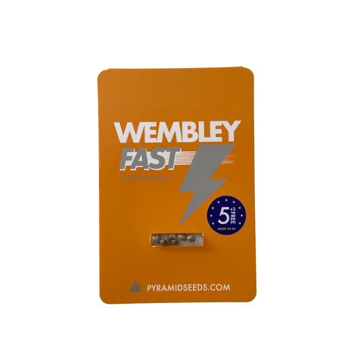 Wembley Fast Pyramid Seeds – embalagem oficial da versão Fast da variedade Wembley