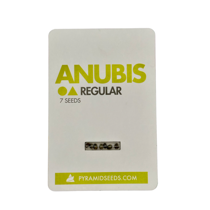 Semente de maconha Anubis Regular da Pyramid Seeds