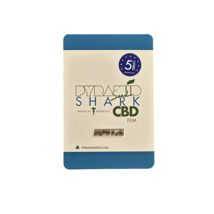 Pacote de Shark CBD – sementes fotoperiódicas de maconha com CBD elevado da Pyramid Seeds.