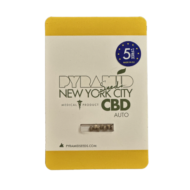 Pacote de Auto New York City CBD – sementes de maconha autoflorescentes com alto teor de CBD da Pyramid Seeds.