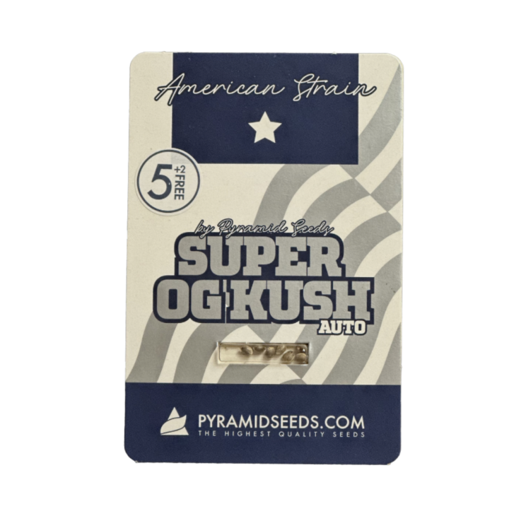 Sementes Auto Super OG Kush Pyramid Seeds – versão autoflorescente da Super OG Kush com 23–25% de THC