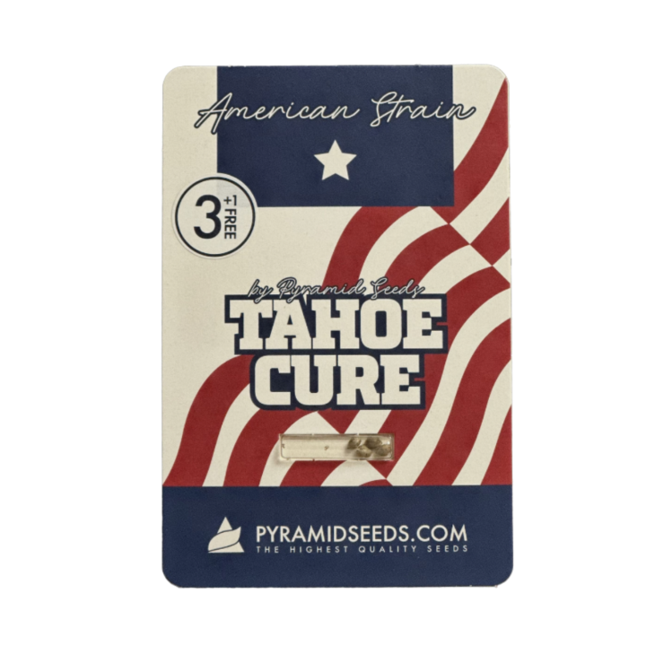 Pacote Tahoe Cure da Pyramid Seeds sobre fundo neutro