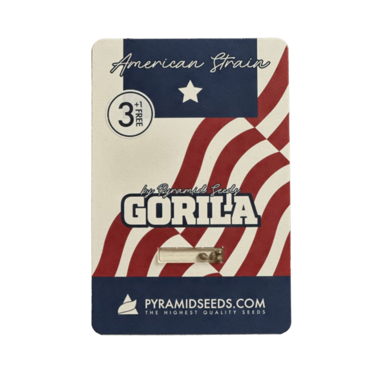 Pacote Gorila da Pyramid Seeds sobre fundo neutro