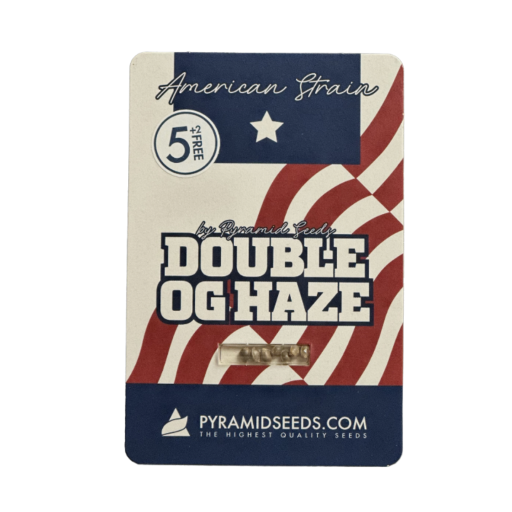 Pacote Double OG Haze da Pyramid Seeds sobre fundo neutro