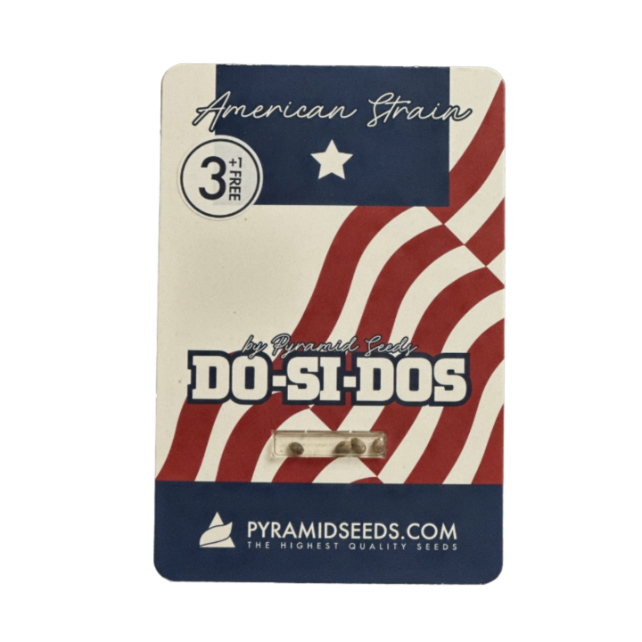 Pacote Do-Si-Dos da Pyramid Seeds sobre fundo neutro