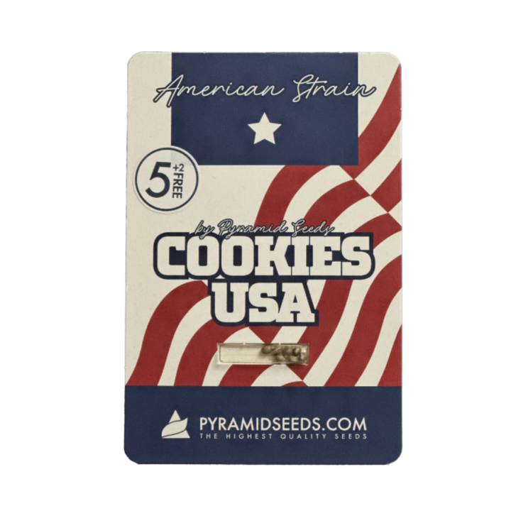 Pacote Cookies USA da Pyramid Seeds sobre fundo neutro