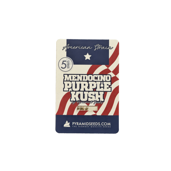 Pacote Mendocino Purple Kush Pyramid Seeds – genética roxa com efeito profundo.