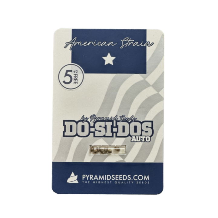 Pacote Auto Do-Si-Dos da Pyramid Seeds – versão autoflorescente da Do-Si-Dos
