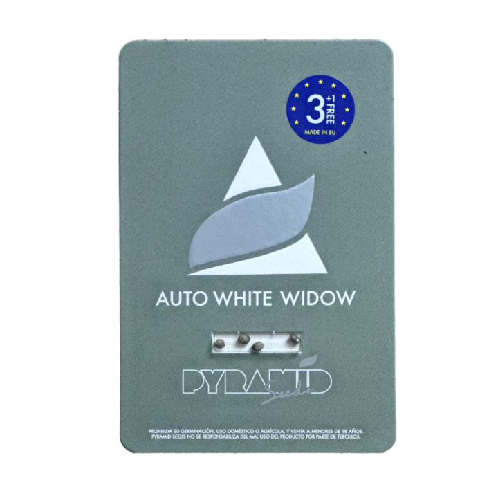 Sementes Auto White Widow – white widow seeds da Pyramid Seeds Brasil