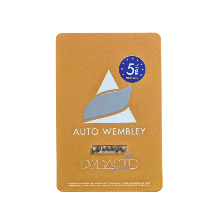 auto wembley pyramid seeds embalagem oficial versão autoflorescente ak47 bubble gum