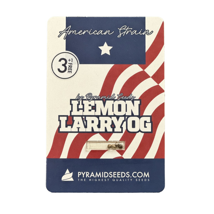 Pacote Lemon Larry OG Pyramid Seeds – genética cítrica da família OG Kush