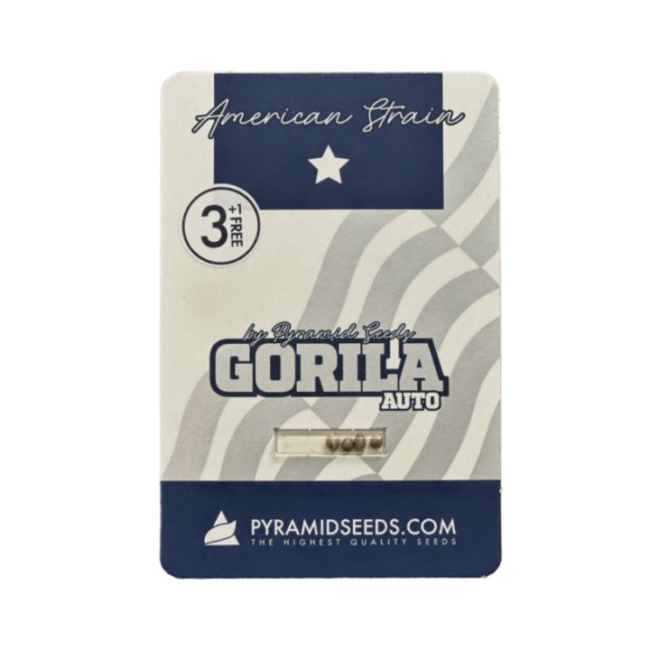 Pacote de sementes Auto Gorila da Pyramid Seeds — versão autoflorescente da Gorila, famosa pelo efeito intenso