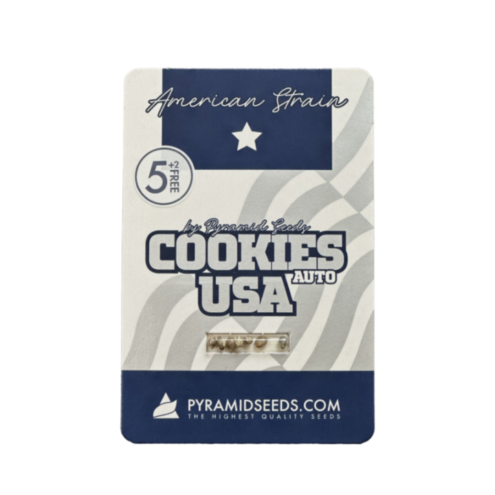 Pacote Auto Cookies USA da Pyramid Seeds – versão autoflorescente da Cookies USA.