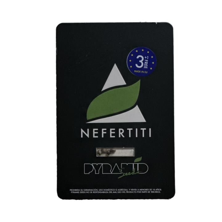 nefertiti pyramid seeds embalagem oficial genética premiada black widow x white widow
