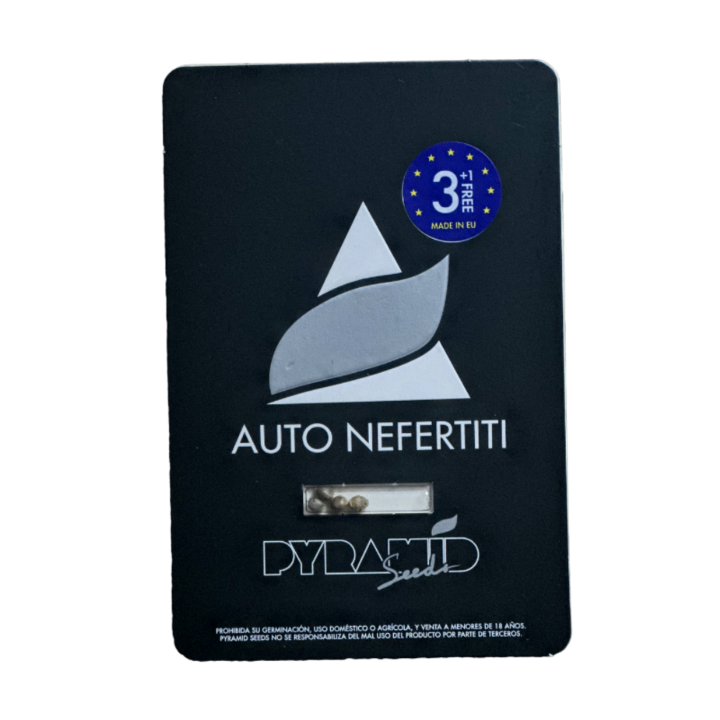 auto nefertiti pyramid seeds embalagem oficial versão autoflorescente narcótica