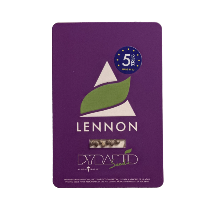 auto lennon pyramid seeds embalagem oficial versão autoflorescente 22–24% thc