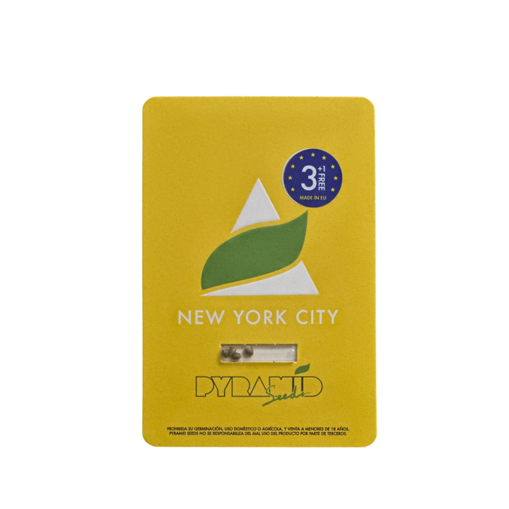 new york city pyramid seeds embalagem oficial sativa cítrica potente