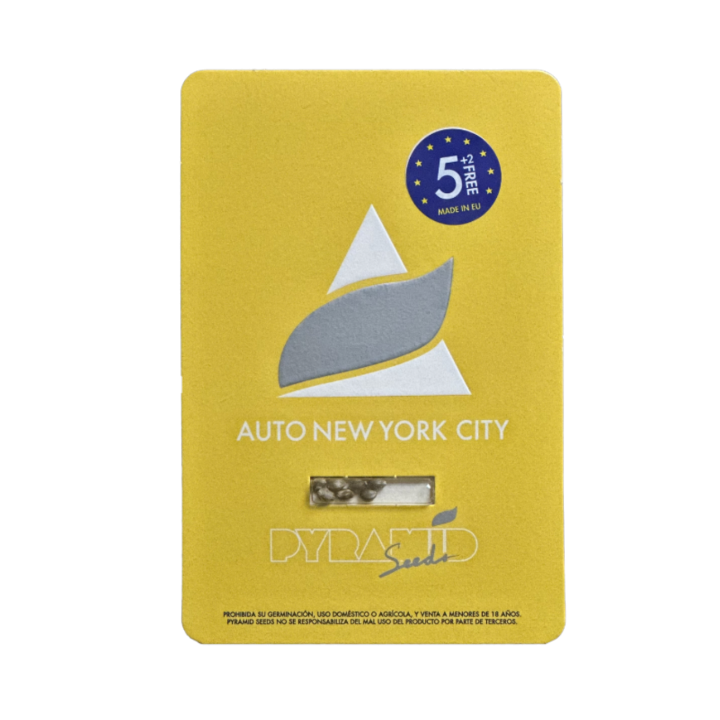 auto new york city pyramid seeds embalagem oficial sativa automática cítrica