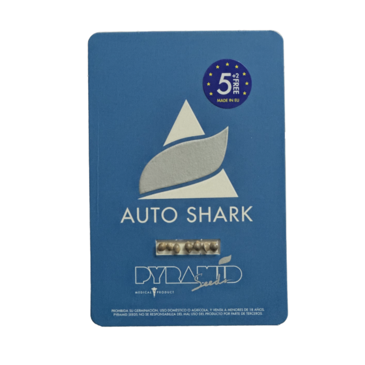 Pacote de sementes Auto Shark – versão autoflorescente da Shark Pyramid Seeds