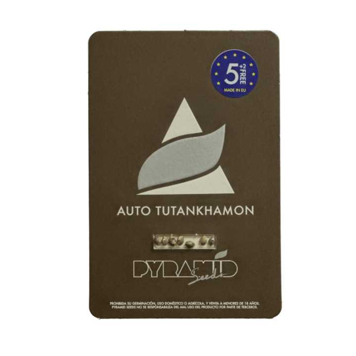 auto tutankhamon pyramid seeds embalagem oficial versão autoflorescente tutankhamon