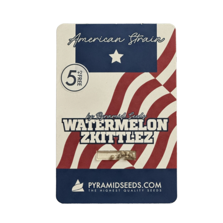 Pacote Watermelon Zkittlez da Pyramid Seeds sobre fundo neutro