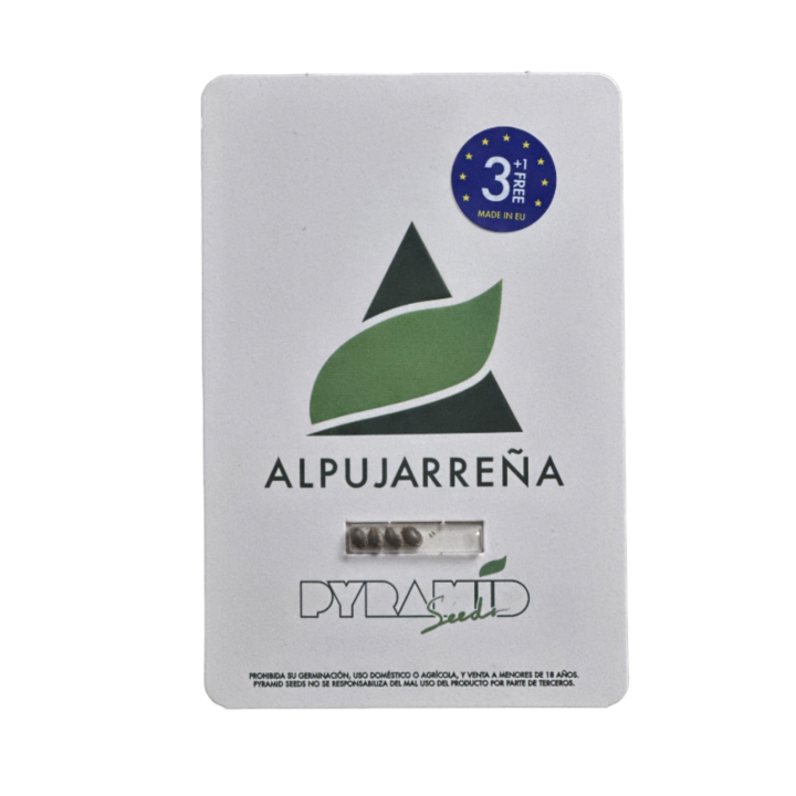 Embalagem original das sementes de maconha Alpujarreña – Pyramid Seeds Brasil