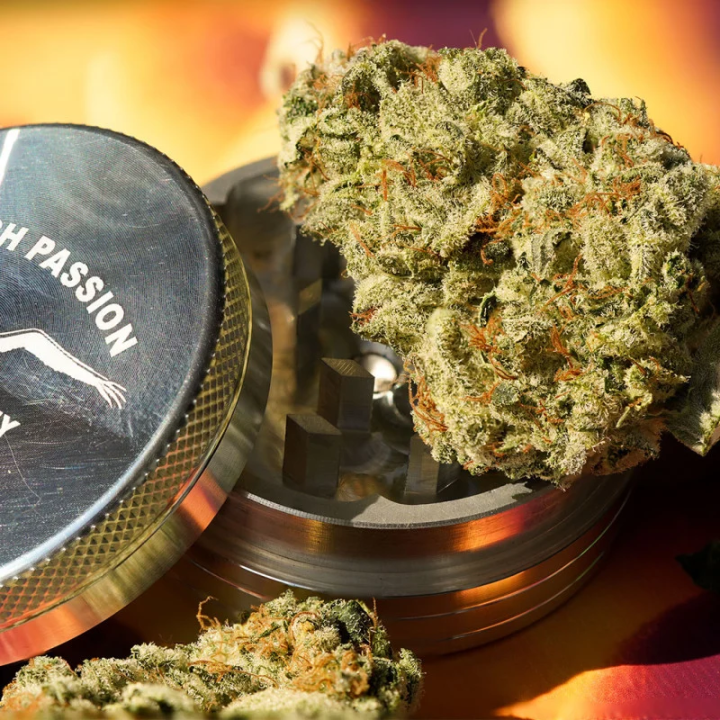 Planta Melonade Runtz em floração: híbrida USA Special da Dutch Passion com estrutura compacta e cogollos redondos