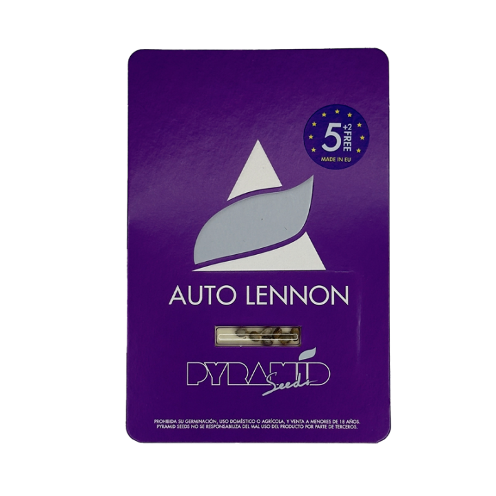 Auto Lennon - semente automática Haze x Jack Herer 24% THC | Pyramid Seeds Brasil