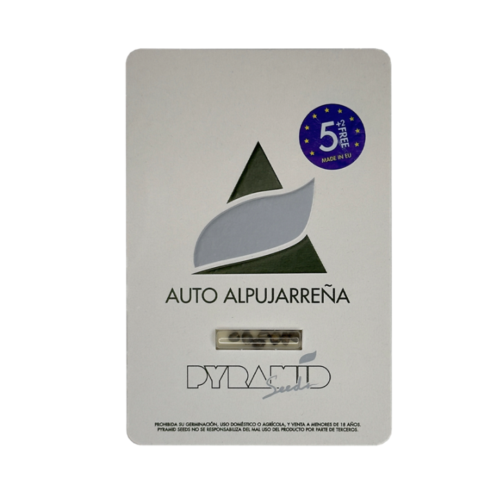Auto Alpujarreña - semente automática resistente ao frio alta potência | Pyramid Seeds Brasil
