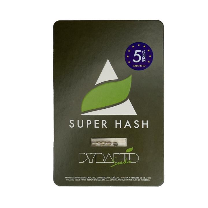 Super Hash - semente G13 x Mr. Nice Hash Plant para extração haxixe resina | Pyramid Seeds Brasil