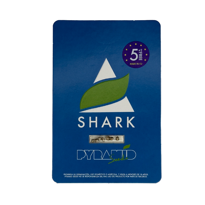 Shark Super Skunk feminizada - Northern Lights x Super Skunk 22% THC resina | Pyramid Seeds Brasil