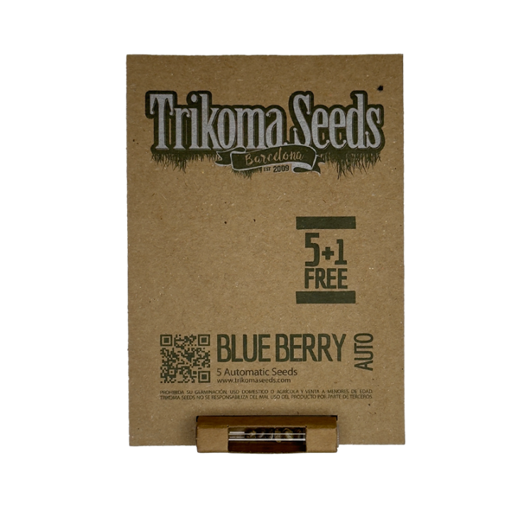 Blueberry Auto - semente automática indica 22% THC tons azulados frutas silvestres | Trikoma Seeds Brasil