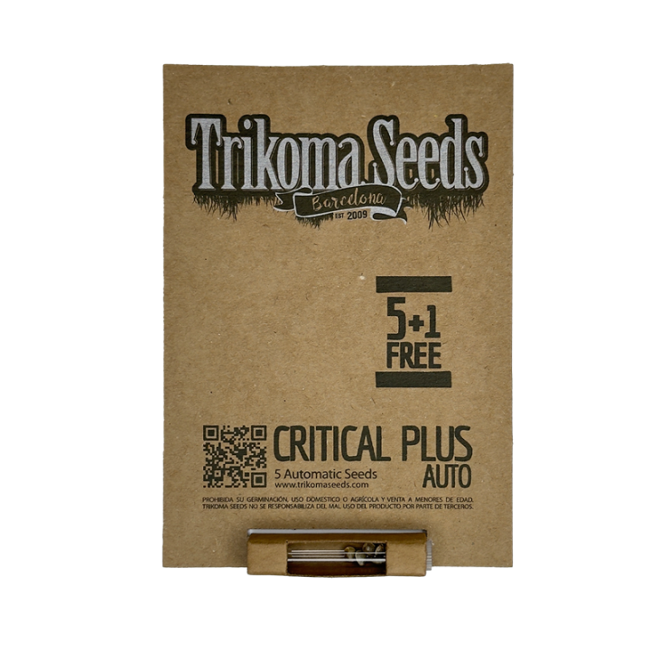 Auto Critical Plus - semente automática Critical x AK-47 23% THC 850g indoor | Trikoma Seeds Brasil