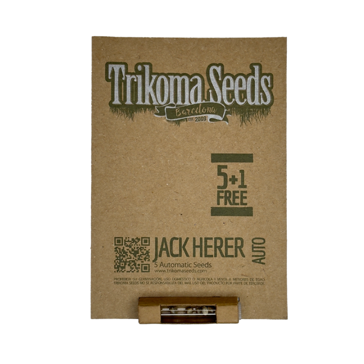 Jack Herer Auto - semente automática 90% sativa Haze 22% THC 850g indoor | Trikoma Seeds Brasil