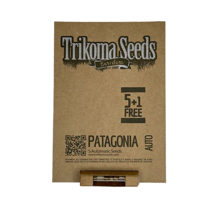 Patagonia Auto - semente automática OG Kush x Northern Lights 24% THC resistente | Trikoma Seeds Brasil