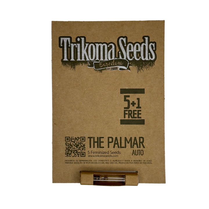 Auto The Palmar - semente automática AK-47 x Power Plant 24% THC sativa eufórica | Trikoma Seeds Brasil