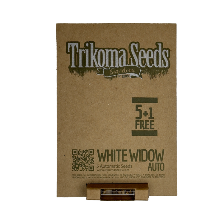 Auto White Widow - semente automática indica 22% THC resina nevada resistente ao frio | Trikoma Seeds Brasil