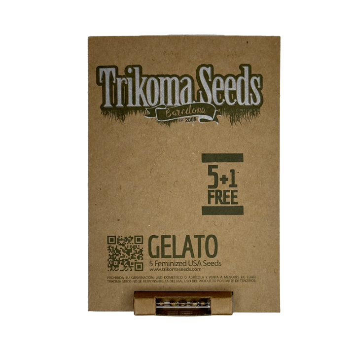 Gelato - semente Sunset Sherbet x Thin Mint GSC 25% THC híbrida | Trikoma Seeds Brasil