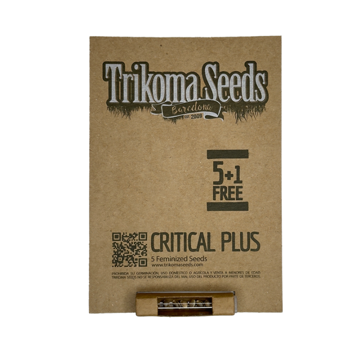 Critical Plus - semente Critical Bilbo x AK-47 24% THC índica 70% rendimento XXL | Trikoma Seeds Brasil