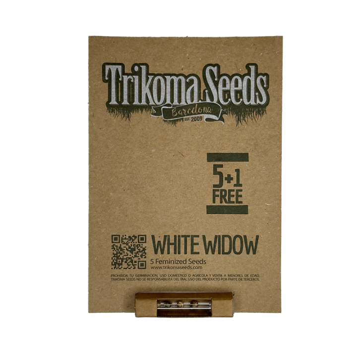 White Widow - semente sativa brasileira x índica sul da Índia resina nevada clássica | Trikoma Seeds Brasil