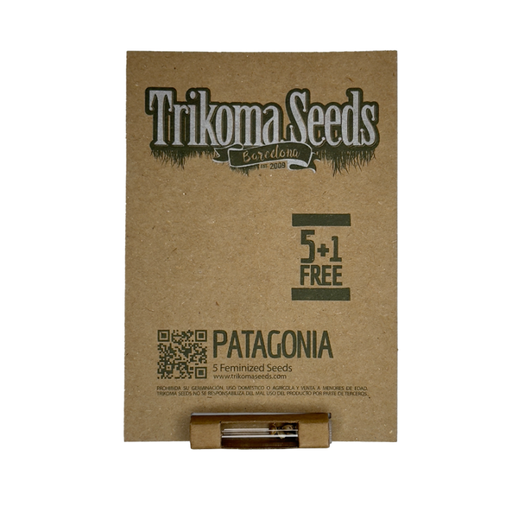 Patagonia - semente OG Kush x Northern Lights 24% THC índica 80% resistente | Trikoma Seeds Brasil