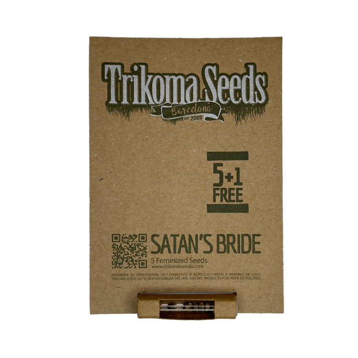 Satan's Bride - semente White Russian x AK-47 24% THC índica 60% relaxamento profundo | Trikoma Seeds Brasil