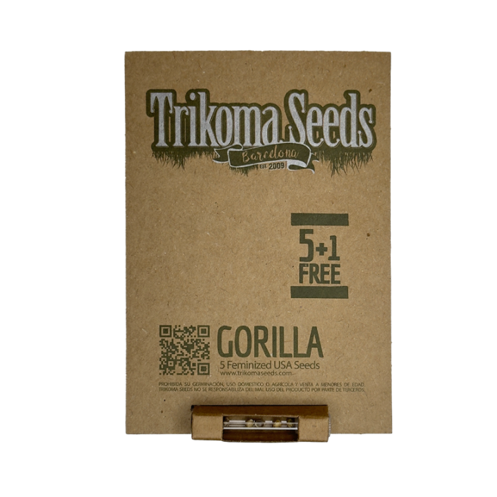 Gorilla Glue - semente Chem Sis x Sour Dubb 25% THC resina extrema USA Strains | Trikoma Seeds Brasil