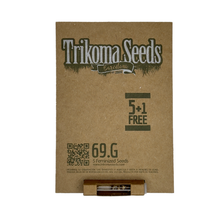 69.G - semente Amnesia x Jack Herer 22% THC sativa 60% efeito afrodisíaco sensorial | Trikoma Seeds Brasil