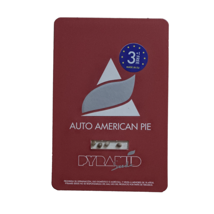 Embalagem da Auto American Pie da Pyramid Seeds – variedade autoflorescente com genética da American Pie original