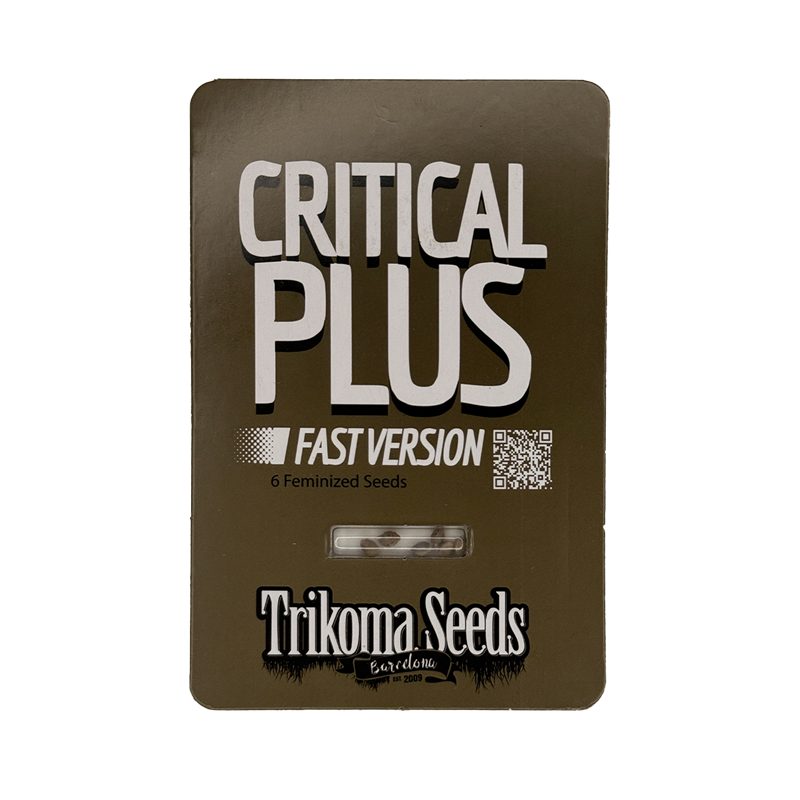 Critical Plus Critical Plus Fast Trikoma Seeds: Colheita em 43 dias | 24% THC