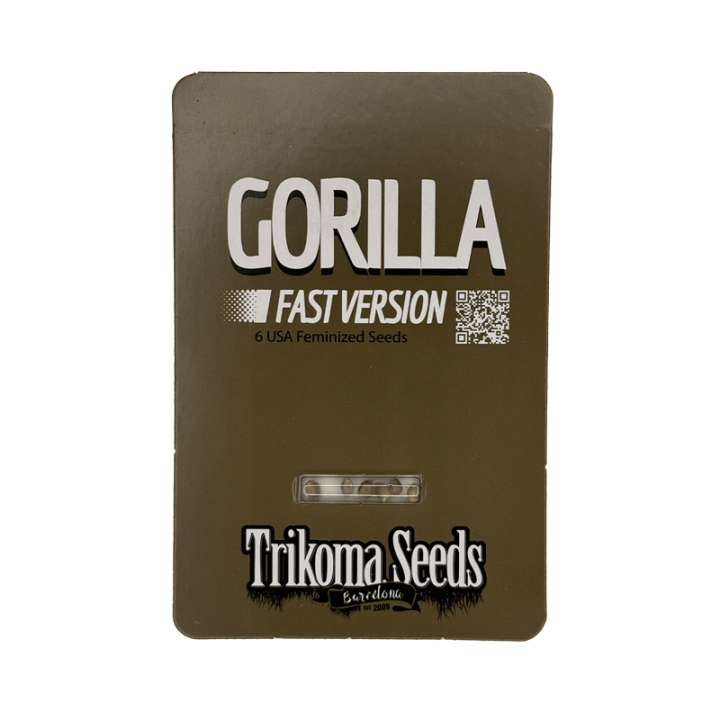 Semente de maconha Gorilla Fast Version da Trikoma Seeds – Floração ultra rápida.