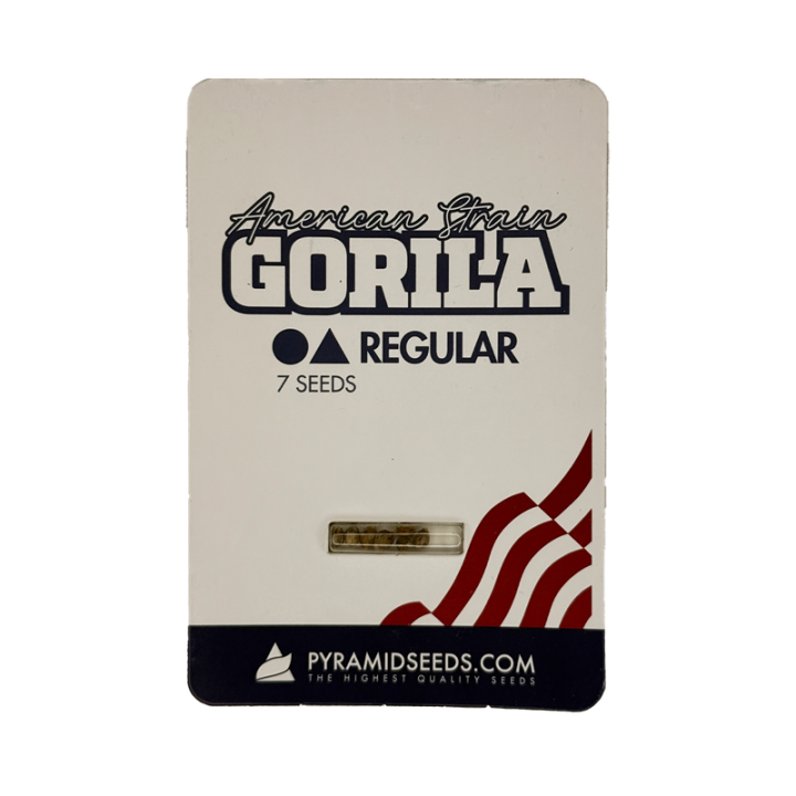 Planta macho e fêmea de Gorila Regular: genética estável para breeding de elite.